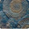   Serapool  Fossil Mix F08 3333 