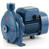 ������������� ��������������� ����� Pedrollo CP 170